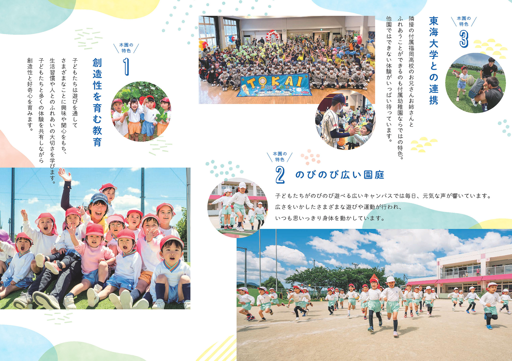 パンフレット／幼保連携型認定こども園 東海大学付属自由ケ丘幼稚園｜福岡県 宗像市